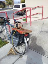 Large boxed pizza on a narrow rear cargo rack with panniers (fall 2012)