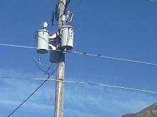 Birds sitting on a power line.