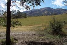 Ahh, The Great Outdoors