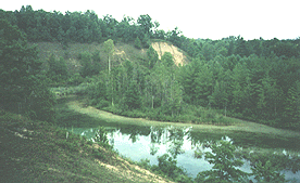 Bank and stream from next to a bridge.