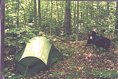 Kancamagus camping site.