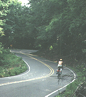 The Paint Rock Valley in the early summer.